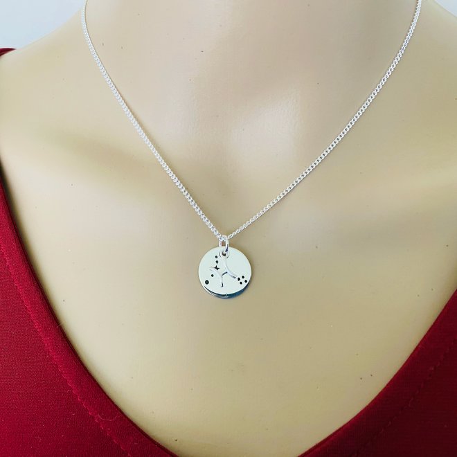 925 Zilveren Vissen Pisces sterrenbeeld zodiak ketting