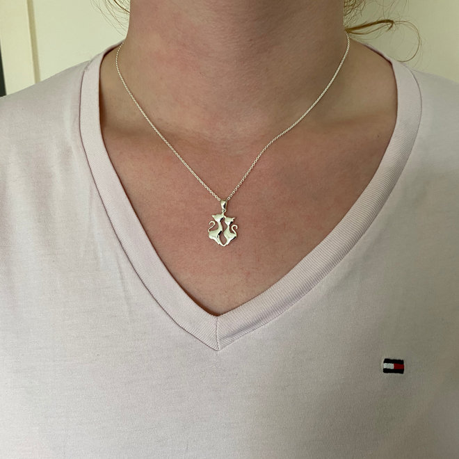 Zilveren twee poezen ketting