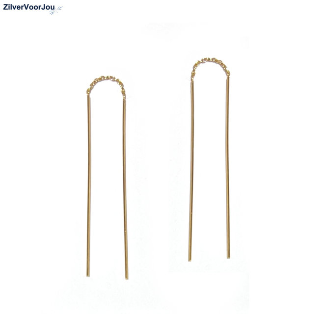 Gold plated zilveren doorhaaloorbellen staaf