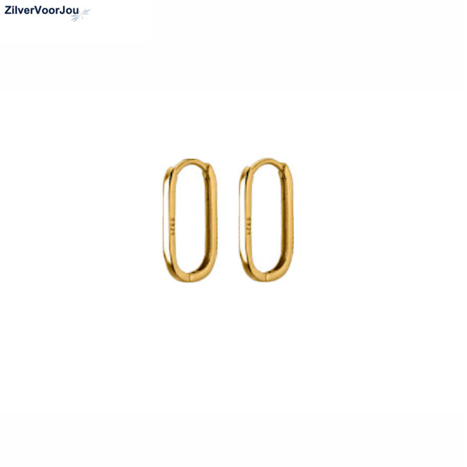 Gold plated rechthoek huggie hoops