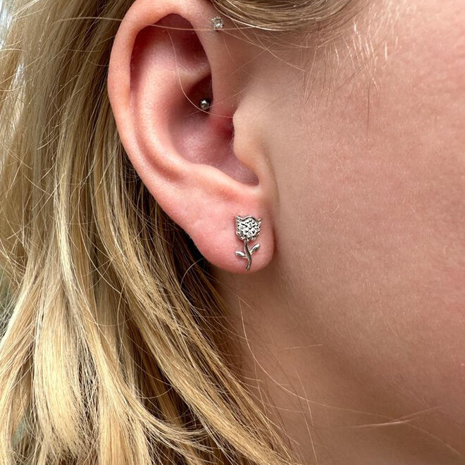 Zilveren roos cz studs