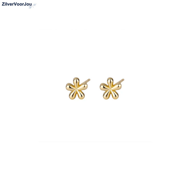 Gold plated Zilveren mini bloem oorstekers