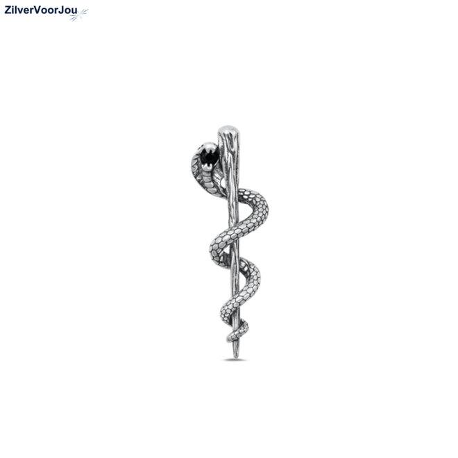 Zilveren esculaap kettinghanger