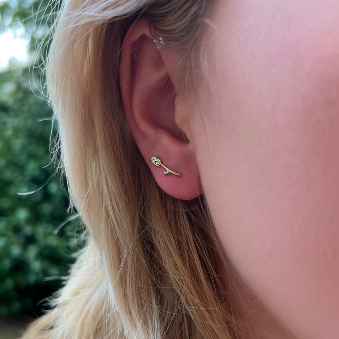 Zilveren tulp oorklimmers