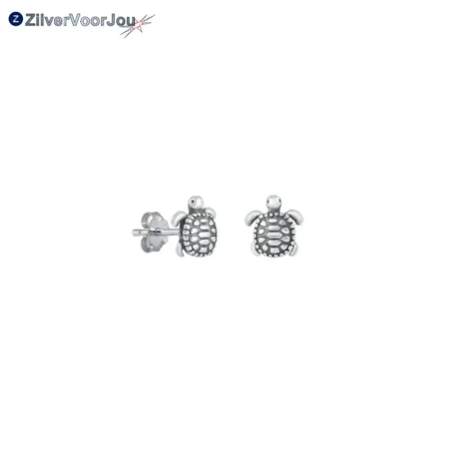Zilveren schildpad studs