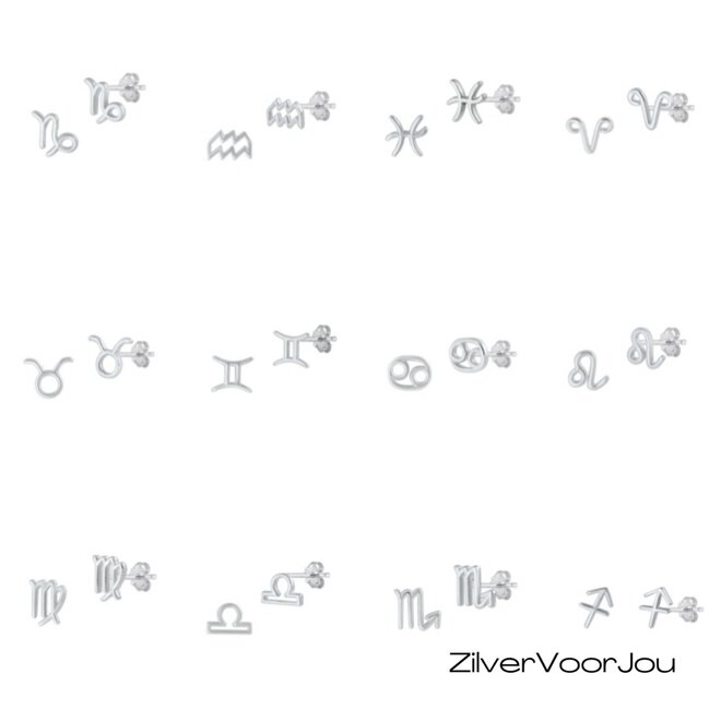 Zilveren mini sterrenbeeld oorstekers