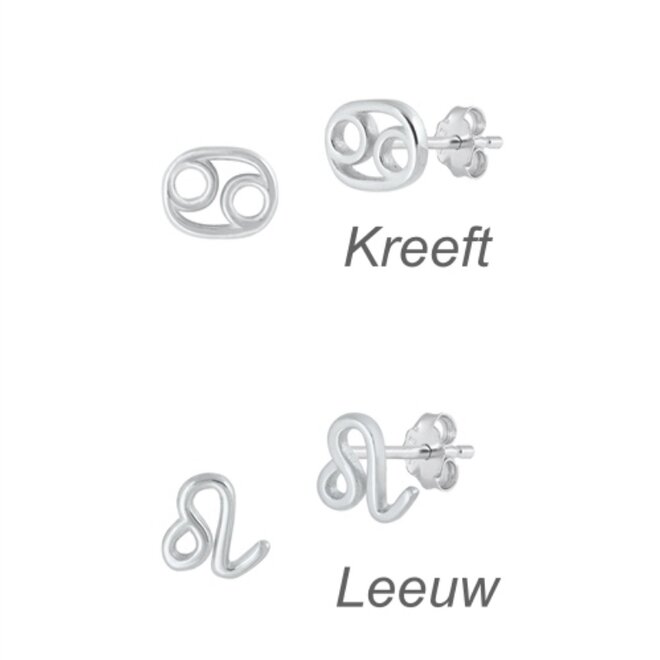 Zilveren mini sterrenbeeld oorstekers