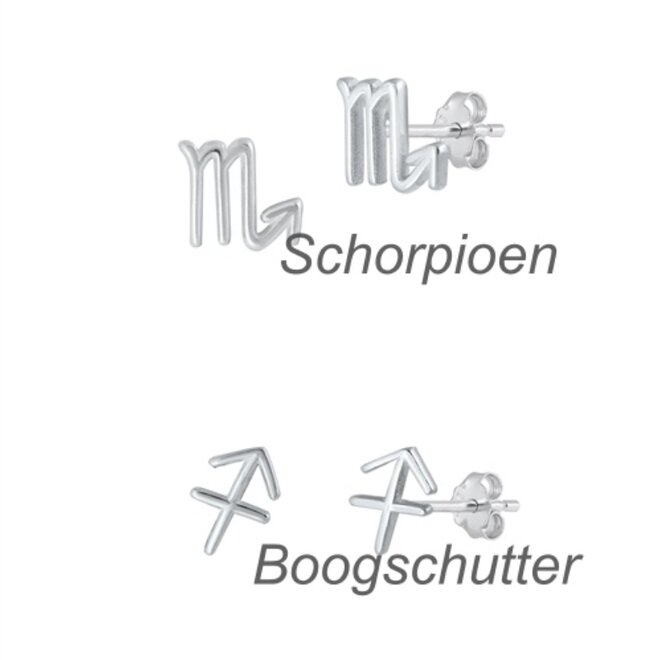 Zilveren mini sterrenbeeld oorstekers