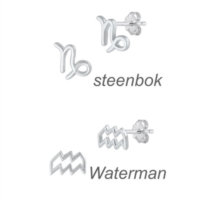 Zilveren mini sterrenbeeld oorstekers