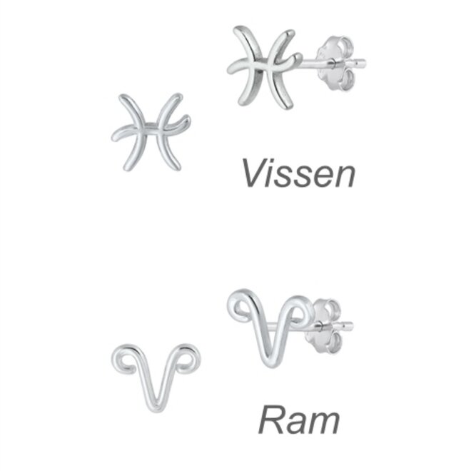 Zilveren mini sterrenbeeld oorstekers