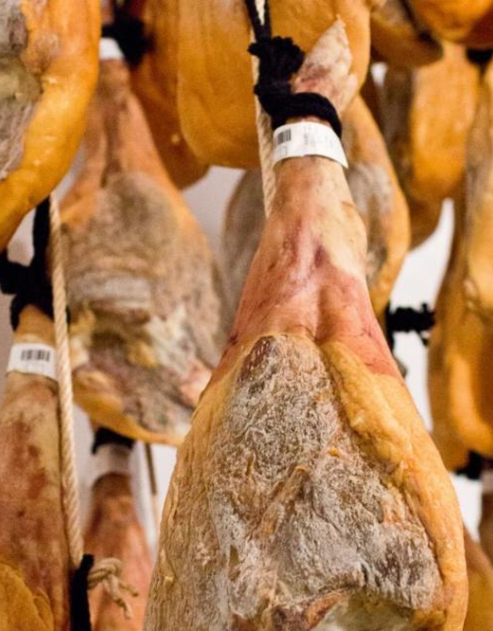 Zaino Jamon Serrano Reserva