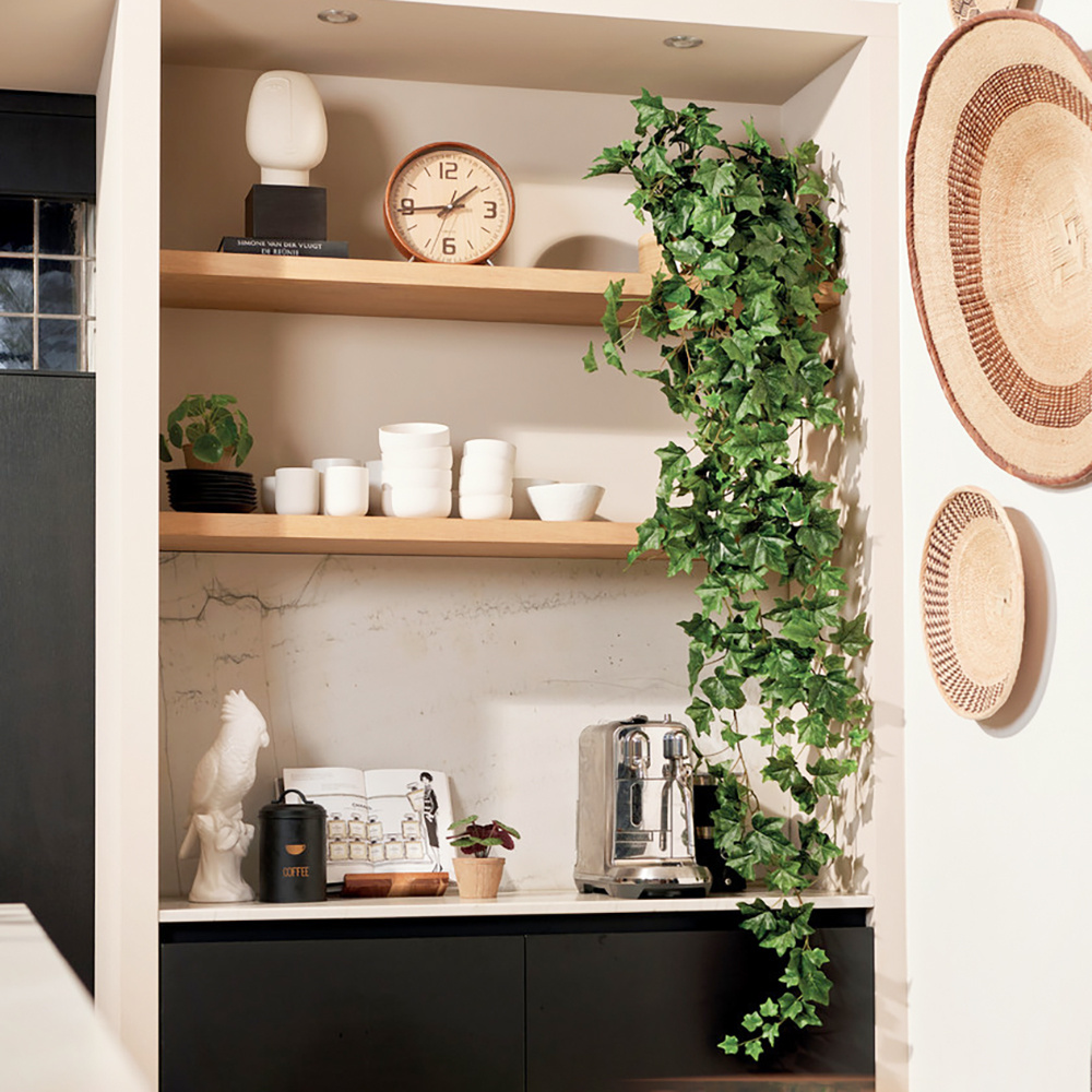 Kunst hangplanten