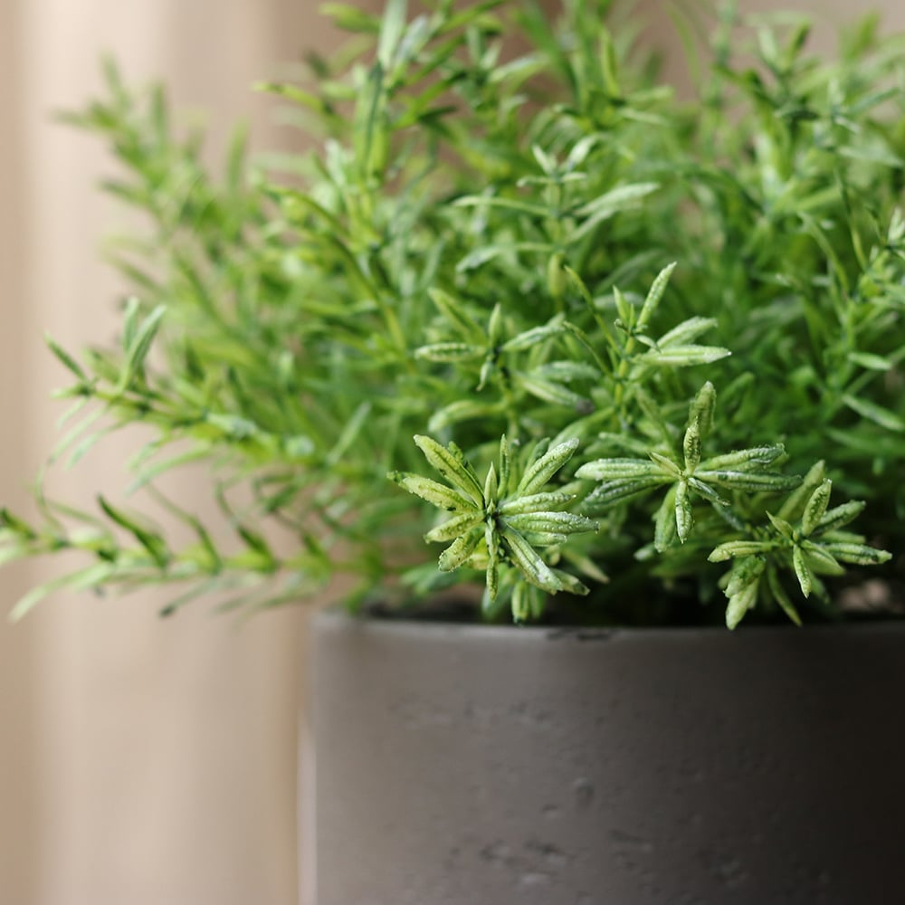 Mini Vetplanten in Pot Kunstplanten Decoratie 6,5cm 6st