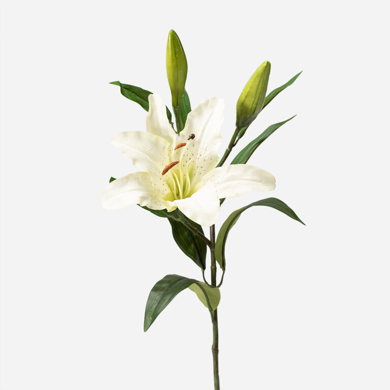 Kunststeel Lelie met witte zijden bloem en groene bladeren is een kunststeel met een natuurgetrouwe uitstraling en een lengte van 80 cm.