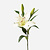 FloraWorks Kunstbloem Lelie wit (80 cm)