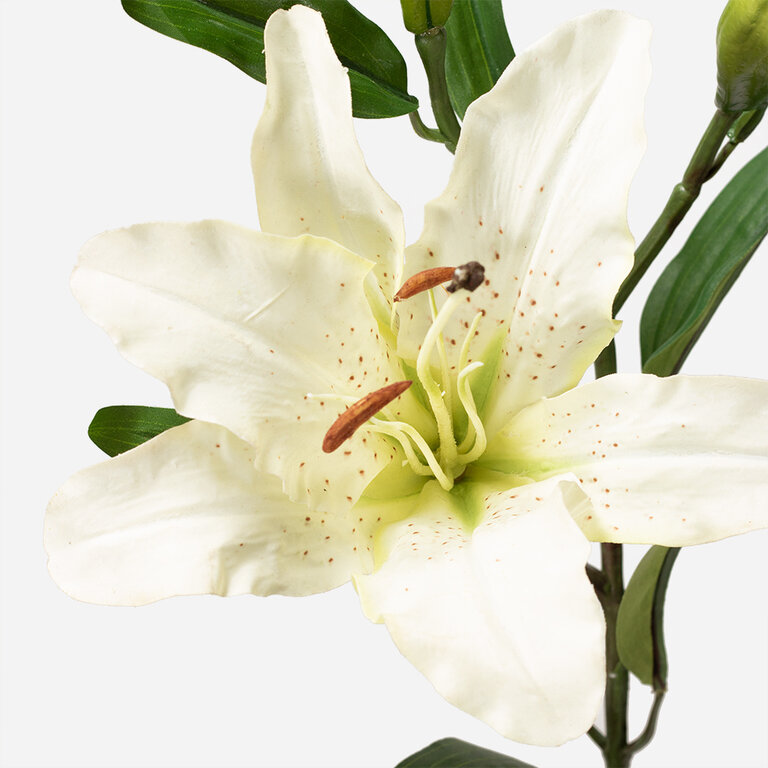 Kunststeel Lelie met witte zijden bloem en groene bladeren is een kunststeel met een natuurgetrouwe uitstraling en een lengte van 80 cm.