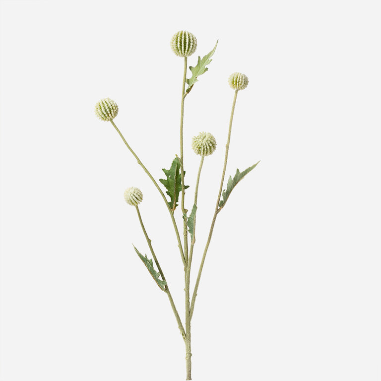 Kunststeel Distel met groenwitte bloemen en groene bladeren is een kunststeel met een natuurgetrouwe uitstraling en een lengte van 79 cm.