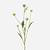 FloraWorks Kunstbloem Distel groenwit (79 cm)