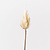 FloraWorks Kunsttak pluim gras wit (86 cm)