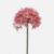 FloraWorks Kunstbloem Allium roze (62 cm)