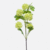 FloraWorks Kunstbloem Sneeuwbal groen (75 cm)