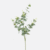 FloraWorks Kunsttak Eucalyptus groengrijs (75 cm)
