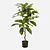 FloraWorks Kunstplant Frangipani (110 cm)