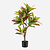 FloraWorks Kunstplant Croton (95 cm)