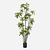 FloraWorks Kunstplant Dracaena (210 cm)