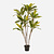 FloraWorks Kunstplant Cordyline (160 cm)