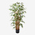 FloraWorks Kunstplant Bamboe (145 cm)