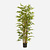 FloraWorks Kunstplant Bamboe (175 cm)