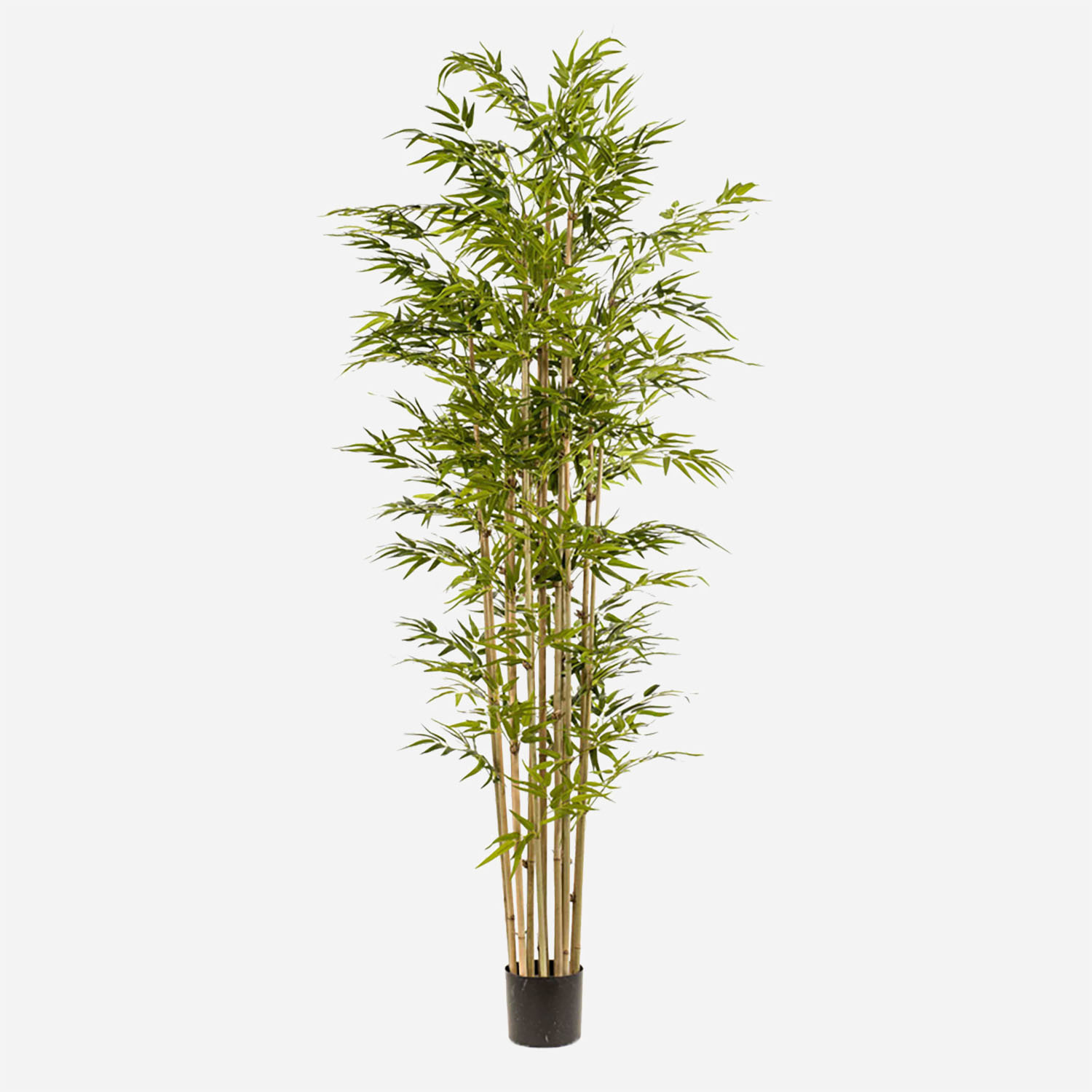 Kunstplant Bamboe miniblad groen in pot H 70 cm kopen! | HORNBACH