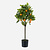 FloraWorks Kunstplant Sinaasappelboom (75 cm)