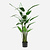 FloraWorks Kunstplant Heliconia (125 cm)