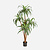 FloraWorks Kunstplant Dracaena (120 cm)
