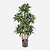 FloraWorks Kunstplant Dracaena Fragrans (120 cm)