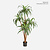 FloraWorks Kunstplant Dracaena (150 cm)
