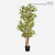 FloraWorks Kunstplant Dracaena Reflexa groengeel (180 cm)