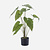 FloraWorks Kunstplant Alocasia Zebrina (75 cm)