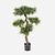 FloraWorks Kunstplant Podocarpus (110 cm)