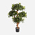 FloraWorks Kunstplant Pittisporum (120 cm)