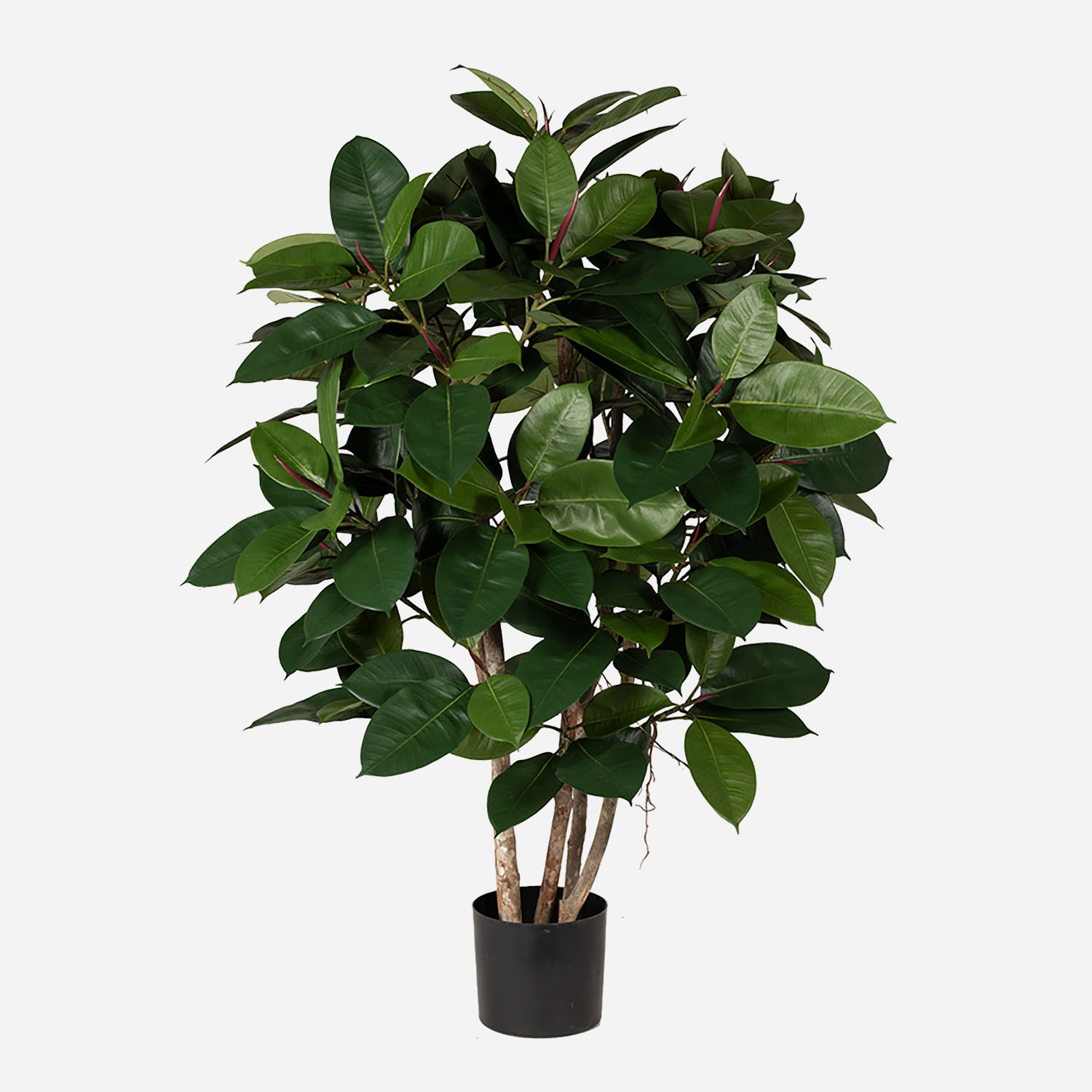 Emerald Kunstboom Ficus Liana 170cm