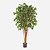 FloraWorks Kunstplant Ficus Retusa (180 cm)