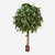 FloraWorks Kunstplant Ficus Exotica (315 cm)