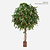 FloraWorks Kunstplant Ficus Exotica (360 cm)
