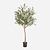 FloraWorks Kunstplant Olijfboom (180 cm)
