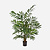 FloraWorks Kunstplant Parlour Palm (110 cm)