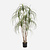 FloraWorks Kunstplant Ponytail Palm (150 cm)