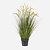 FloraWorks Kunstplant Cattail gras (100 cm)